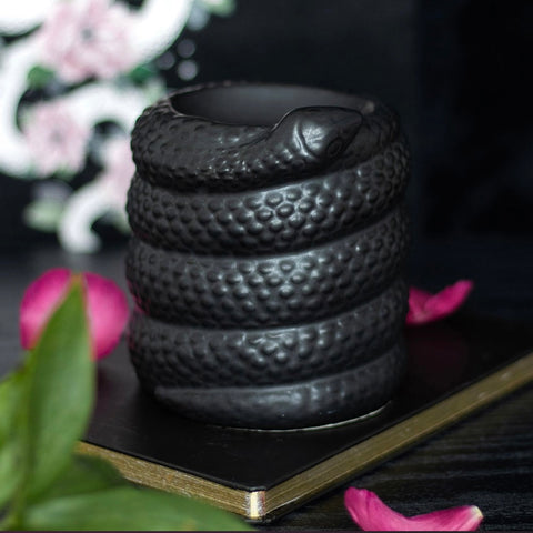 Black Snake Oil Burner